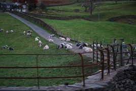 カーライルに関する旅行記 ブログ フォートラベル イギリス Carlisle