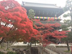 京阪沿線紅葉さんぽ