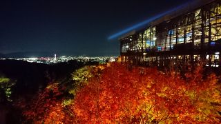 今年も京都に紅葉狩りをしに行きました。（洛北・洛東編）