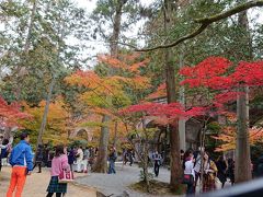 悪友と行く2018京都(紅葉求めて35,000歩)