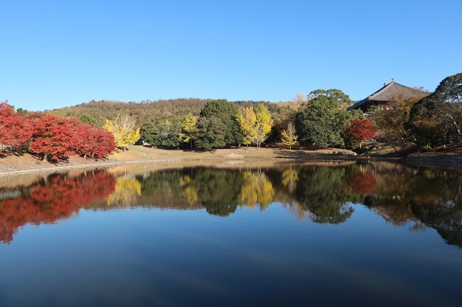 京都で紅葉狩りをするつもりでしたが、ものすごい人で大混雑していると聞いて怯んでしまい、結局奈良公園に行きました。<br />8月、10月に続いて短い間隔で3度めの奈良公園に行きましたが、紅葉の季節はまた違う景色を見ることができました。