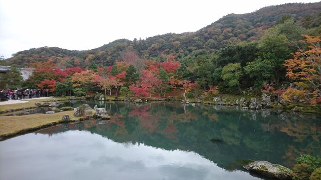 ２０１８年秋も日帰りで京都の紅葉狩りをしに行きました。<br />今回は嵐山・洛西編と洛北・洛東編の２つに分けて紹介していきます。<br /><br />まず、嵐山・洛西編は、嵐山・洛西エリアを紹介するだけでなく、京都タワーも紹介していきます。<br /><br />ちなみに、洛北・洛東編はこちら↓<br />https://4travel.jp/travelogue/11426971