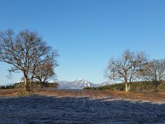 東北、初雪の日でした。