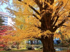 11月初旬の北海道ひとり旅(4)～晴れて嬉しい大通公園と赤レンガぶらり、そして帰路もバニラエア