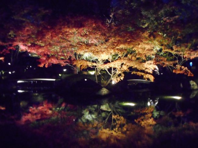 毎年今時期（１１月下旬～１２月上旬）に行われる東京都内西部杉並の大田黒公園の紅葉ライトアップに行ってきました。<br />