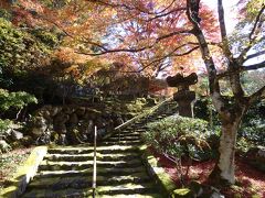 秋の洛北～昼と夜の紅葉をじっくり味わい旅～