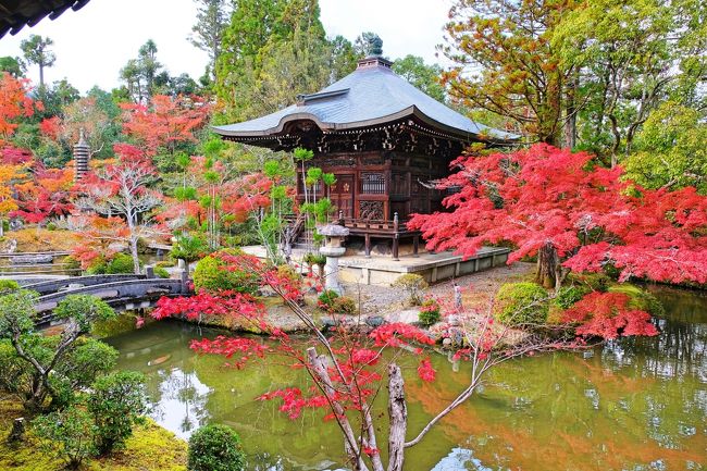 晩秋の嵯峨野 大覚寺 直指庵 清凉寺 へ紅葉狩りに 18 嵐山 嵯峨野 太秦 桂 京都 の旅行記 ブログ By Akikoさん フォートラベル