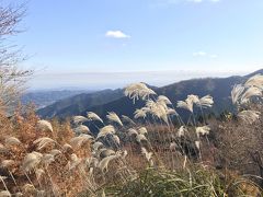 はとバスに乗って「奥多摩紅葉狩りとあきる野の名泉瀬音の湯」2018