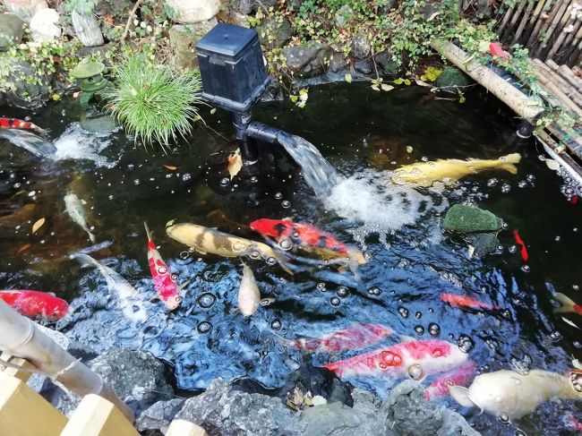 ディープな浅草を巡りました。<br />主に吉原ゆかりの場所です。<br /><br />浜松町から水上バスで浅草まで隅田川をのぼった後、浅草神社からスタートして吉原にまつわる寺社仏閣を巡りました。