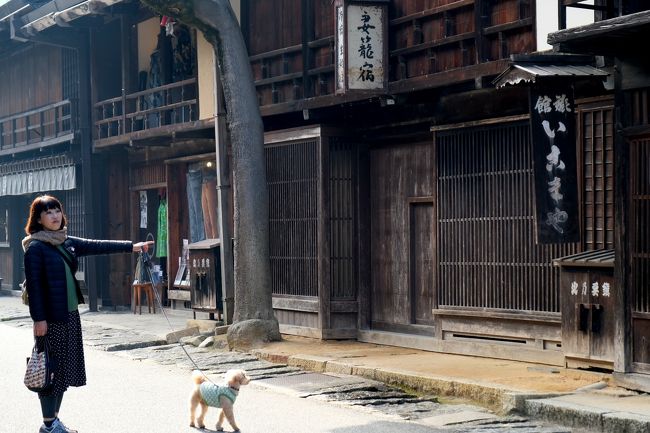 好天の火曜日<br />午前3時に1本の電話が・・・<br />仕事先からの急なキャンセルだった(・・;)<br /><br />予定がなくなってしまったのをいいことに<br />3時半に妻と愛犬ハルをたたき起こす(笑)<br />「おい、今から出かけるぞ」<br /><br />この時点で行き先は決まっていない<br />とりあえず中央高速に乗り<br />ユーミンをBGMに走っていたら<br />なぜか木曽の宿場町が目に浮かんだ<br /><br />