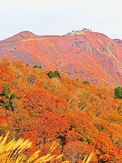 佐渡島12　大佐渡スカイライン　紅葉の時季　☆大佐渡山地を縦断//バス車窓-展望良好