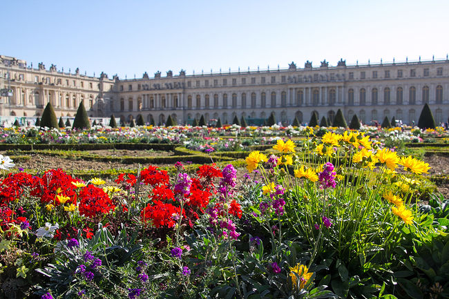 豪華絢爛なヴェルサイユ宮殿を見た後は、広大な庭園に繰り出しましょう。ただ、あまりにも広いので、カートをレンタルして走ります。庭園の奥にはプチ・トリアノン、グラン・トリアノンなどの離宮があります。
