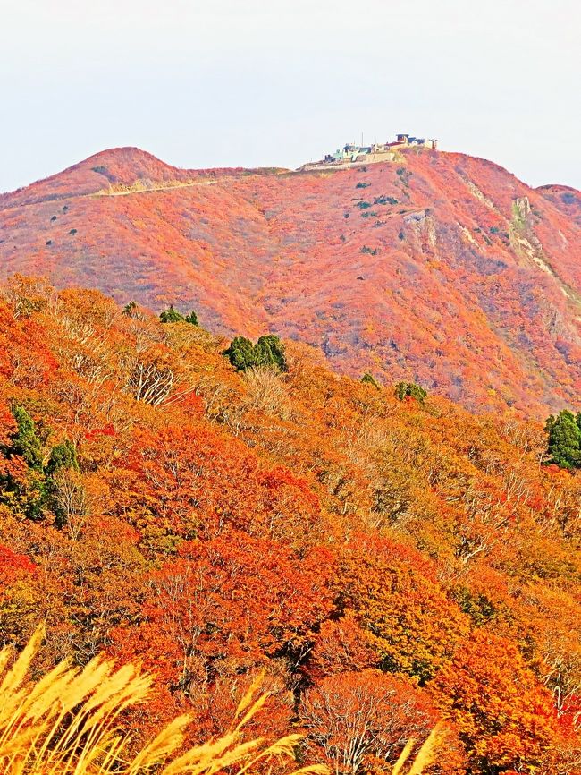 新潟県道463号白雲台乙和池相川線(はくうんだい・おとわいけ・あいかわせん)は、新潟県佐渡市(佐渡島内)の一般県道である。 <br />佐渡市の白雲台(中興・金井地区)と相川地区を結ぶ観光道路。山岳道路で大佐渡山地を縦断する。金井地区新保(国道350号と接続)から白雲台へ至る佐渡市道、防衛省が管理する道路とあわせ、通称「大佐渡スカイライン」と呼ばれる。沿線には妙見山、地獄谷、乙和池、大平高原、佐渡金山などがある。冬期(11月末頃 - 4月末頃)は閉鎖している。 <br /><br />大佐渡山脈の尾根沿いを走る道路で、ふもとの相川から妙見山に向かって標高942mの最高地点まで登り、頂部の白雲台は佐渡南部を一望できるロケーションにある。途中の小仏峠に向かう斜面は、ヘアピンカーブが連続する区間がある。<br />起点:佐渡市中興 終点:佐渡市相川大間町<br />新潟県道31号相川佐和田線(佐渡市相川大工町)と交差する<br />史跡佐渡金山(佐渡市相川銀山町)小仏峠(佐渡市小川)妙見山(佐渡市)航空自衛隊佐渡分屯基地(佐渡市金井新窪)<br />(フリー百科事典『ウィキペディア(Wikipedia)』より引用)<br /><br />大佐渡スカイライン については・・<br />https://www.visitsado.com/spot/detail0139/<br /><br />歴史と感動の島 佐渡の大自然を訪ねる感動の旅 3日間<br />~様々な魅力を秘めて日本海浮かぶ憧れの島・佐渡ヶ島へ!!~阪急交通社 クリスタルハート<br />2日目<br />佐渡・相川(8:00発)==◎尖閣湾揚島遊園(佐渡を代表する奇岩怪石の景観)【約30分】=◎佐渡金山(徳川幕府の財政を支えた金山)【約60分】==SADO二ツ亀ビューホテルにて海鮮ちらしのご昼食・・・・・・○二ツ亀(2匹の亀のように見える奇岩)【約80分(昼食時間含む)】○大野亀(亀のように見える巨大な一枚岩)【約20分】====☆尾畑酒造(歴史ある酒造にて買い物)【約20分】==○夫婦岩【約20分】==佐渡・相川<泊・17:00頃着>〔2日目:バス走行距離数約122km〕 【宿泊先:ホテル大佐渡【指定】 昼食:海鮮ちらし 夕食:佐渡味覚御膳