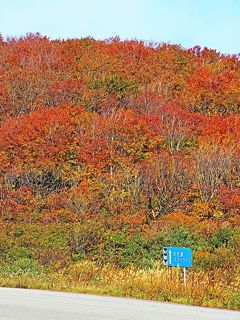 佐渡島13　白雲台　大佐渡スカイラインの休憩地　☆展望デッキ・佐渡島を見渡すパノラマ