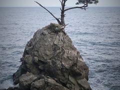 佐渡島14　内海府海岸　両津⇔大野亀　バスドライブ　☆岩礁の一本松/健気に立って