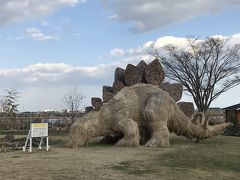 本格フレンチランチを食べた後に、園芸センターへ