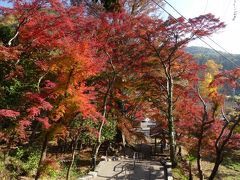 金龍寺の紅葉_2018（2）_見頃が始まりました。（群馬県・太田市）