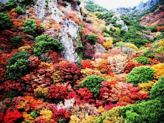 香川 秋色島旅 ３ うぉぉ カラフルだ 紅葉の 寒霞渓 高松 美術館のような温泉 小豆島 香川県 の旅行記 ブログ By みかりさん フォートラベル