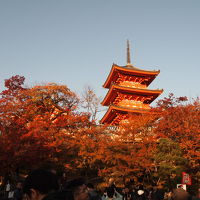 京都女子会　PartⅡ