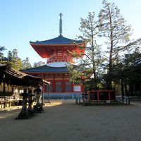 高野山と奈良３社寺の紅葉を見に＜２＞　高野山　宿坊体験と壇上伽藍