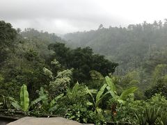 初★バリ島旅行  ～ヌサドゥア→ウブド～  3日目