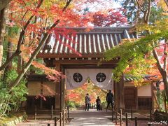 2018秋 「そうだ、関西へ行こう！」（４）紅葉狩り＠長岡京・光明寺