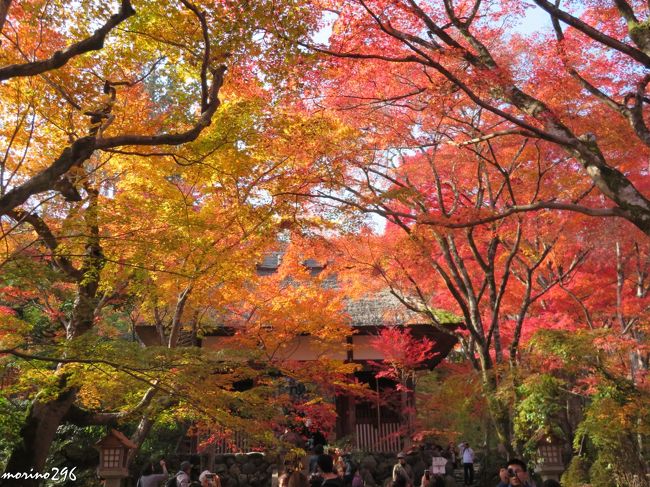今年も関西の紅葉を楽しませてもらいました。<br />2泊3日の旅、最終日は、長岡京の光明寺の次に、昨年に引き続き嵐山・嵯峨野の紅葉を楽しませてもらいました。<br /><br />----------------------------------------------------------<br />今回の旅行記は以下の5冊に分けて作成しています。<br />2018秋 「そうだ、関西へ行こう！」<br />（１）先輩たちと京都で会食<br />（２）紅葉狩り＠京田辺・一休寺<br />（３）紅葉狩り＠奈良公園<br />（４）紅葉狩り＠長岡京・光明寺<br />（５）紅葉狩り＠嵐山嵯峨野・天龍寺、常寂光寺<br />----------------------------------------------------------