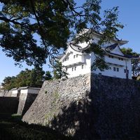 ♪秋ぃの～夕陽に照るぅ山～紅葉～♪を求めて、愛知で熱田神宮、名古屋城。☆。☆。