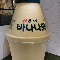 韓国ドタバタ旅