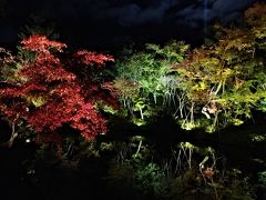 京都２０１８紅葉　【４】圓徳院・高台寺