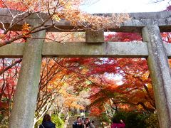 今年最後の紅葉狩り 福岡三ヶ所紅葉スポット日帰り散策【大宰府『宝満宮竈門神社』編】