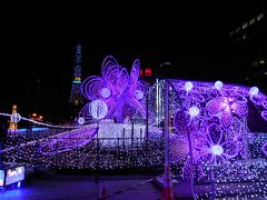 夜の大通公園周辺