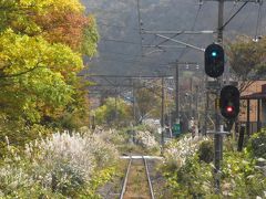 紅葉の裏磐梯と磐梯熱海 2018 ～ススキのなびく磐越西線～（福島）