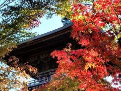 東京ぶらり旅その３　豪徳寺～小石川後楽園編