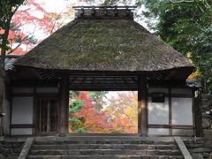 京都2018紅葉巡り（2）