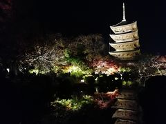 2018.11 韓国（13）京都寄り道観光編・秋の東寺ライトアップ