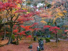 今年最後の紅葉狩り 福岡三ヶ所紅葉スポット日帰り散策【大宰府『光明禅寺』編】