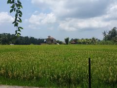 初LCCで飛ぶ 4年ぶりの1人旅 2018【本編】④ ~One's trip to Ubud~ ٩( ᐛ )و٩( ᐖ )و