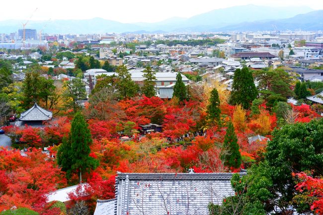 秋の京都で紅葉をめでる その８ やっぱり永観堂はすごかった！