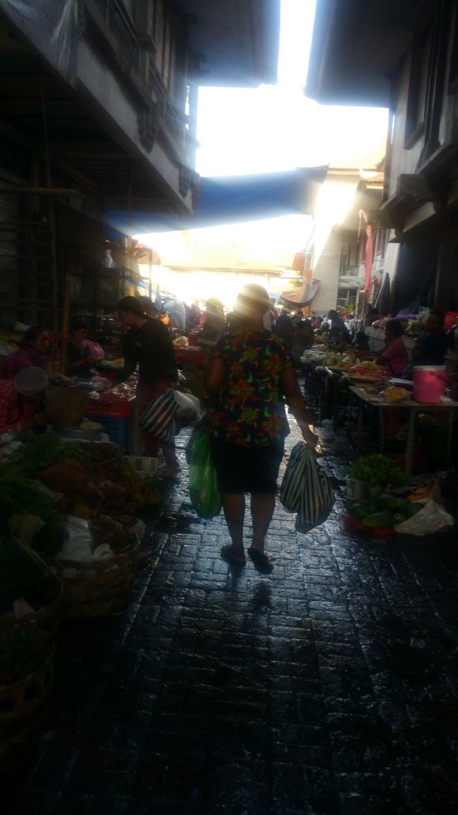 初LCCで飛ぶ 4年ぶりの1人旅 2018【本編】③ ~One's trip to Ubud~ ٩( ᐛ )و٩( ᐖ )و