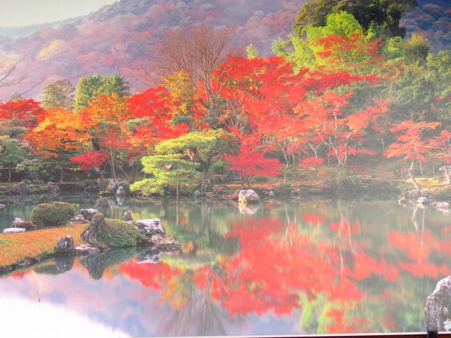 ドラゴンズパックで行く<br />絶好の紅葉狩りに嵐山竹林~嵯峨野トロッコと保津川川下り<br /><br />短編動画でもご覧いただけます!<br />嵯峨野トロッコ列車で行く絶好の紅葉狩り<br />https://youtu.be/flqVF4smzVw<br /><br />保津川川下りで絶好の紅葉狩り<br />https://youtu.be/7VPZglUPvLM<br /><br />保津川川下りで絶好の紅葉狩り2<br />https://youtu.be/nlHYdzrSId0<br /><br />