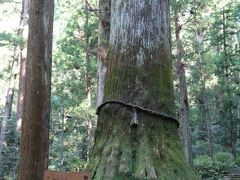 今年も鳳来寺登山