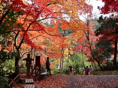 紅葉の名所、石油王の館を訪ねて・・・