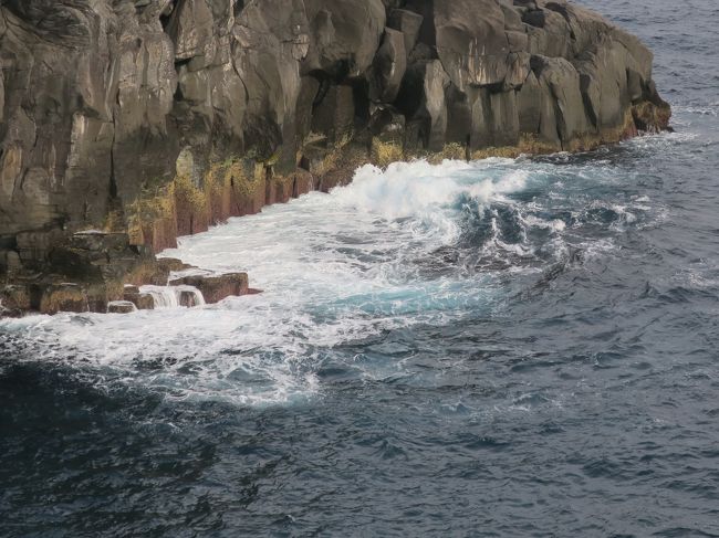 秋も最後のドライブで、一路134号線から、熱海を通り過ぎ、何時ものように伊東マリンで昼食休憩。今日はスバゲッティなどで、昼を楽しみ。あとはソフトクリームで、甘みを追加。それから南下すべく城ヶ崎海岸で、灯台と吊り橋を楽しむ。波も静かで、伊豆七島がしっかり見えた。久しぶりである。伊豆高原駅を通り過ぎ今日の目的地に。3時からの温泉に浸かり、のんびり。夜は、頼んであった夕食で、一杯飲みながらゆっくり。寝る前にまた温泉に浸かり、休息。翌朝も大変晴れて気持ちの良い朝。北上し、いで湯っこ市場で、新鮮な野菜を仕入れ、孫たちに差し入れ。海岸通りから、亀石峠に上がり、伊豆スカイラインで、箱根峠に。昼は竹やぶで、おそばをいただく。少し早いが、宮城野へ。ここでも3時から、少しぬるめの露天風呂で、心身ともに休む。夕食は、ビーフシチューなど洋食とワイン（ボジョレーヌーボー）で。何かのんびりしすぎ。年かもしれない。翌朝は、鈴廣により、買い物をして昼前に帰着。