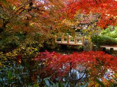 今年最後の紅葉狩り 福岡三ヶ所紅葉スポット日帰り散策【福岡市博多区『楽水園』編】