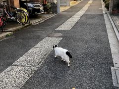 北からお上り三連休（前編）：2018年11月東京の旅