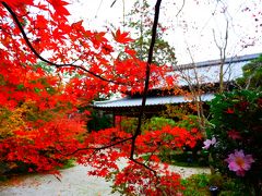 秋の京都で紅葉をめでる ９＜完結編！＞ 南禅寺＆天授庵