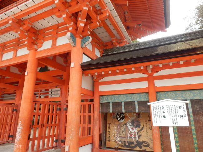 上賀茂神社と共に賀茂氏の氏神であったとされており両社ともに京都最高位の神社てある正式名称は賀茂御祖神社御祭神は賀茂建角身命(かもたけつのみこと)と玉依姫命の二柱JR京都駅、阪急河原町駅、から京都市バスで糺の森下車　停留所から200m戻った信号を左へ向かうと糺の森に入る鳥居がある、注)バス停先に下鴨神社はこちらの矢印の標識があるがこれに向かうと神社裏口になるので戻ること森に入ると付近のざわめきが消えて静寂の世界に入ります約500m近く続く、森の終にわりにある鳥居を潜ると御本殿前、本殿は東西に分かれて建てられているのも特徴のひとつ、両本殿共国宝指定でどっしりした趣が感じられます<br /><br /><br /><br />同行者一人旅