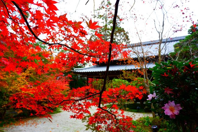 秋の京都で紅葉をめでる ９＜完結編！＞ 南禅寺＆天授庵