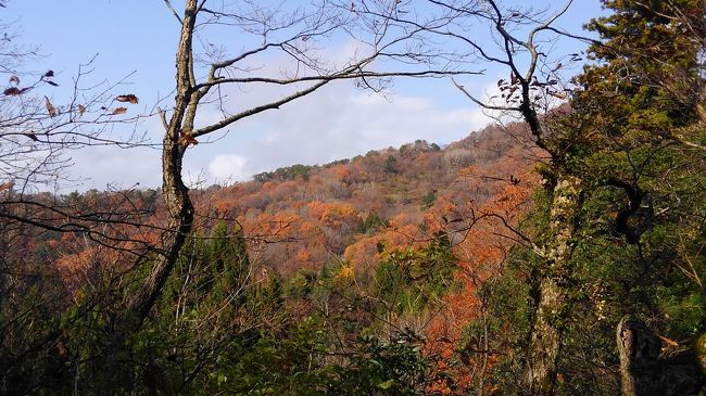 2018年11月　西国三十三ヶ所巡礼＝28番成相寺、29番松尾寺、そして智恩寺の文殊堂＝